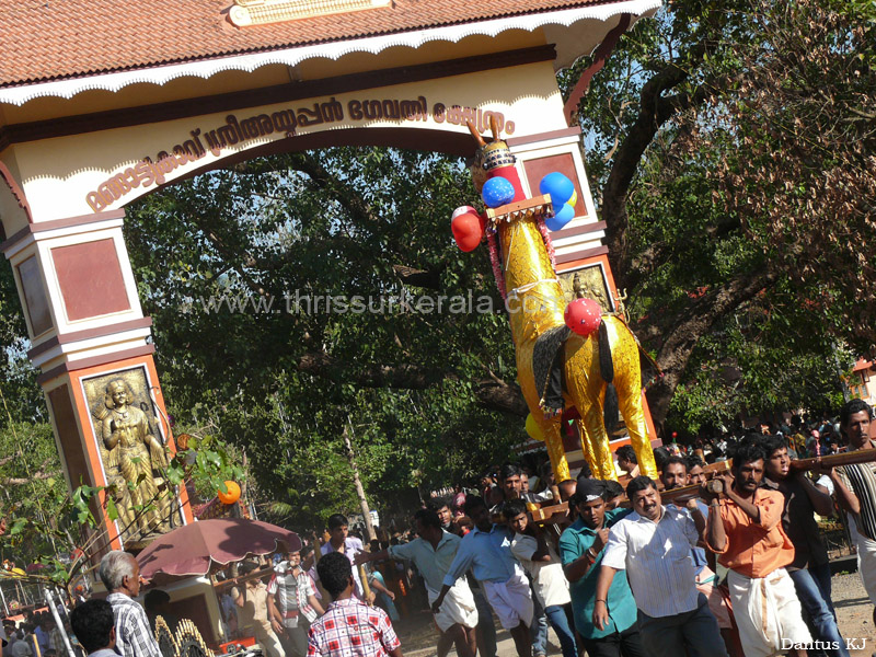 mangad-pooram-2013 (2)